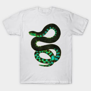 serpent cobra reptile viper venom lizard T-Shirt